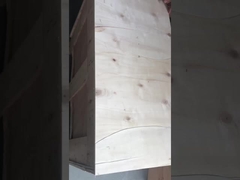 Máquina de enrolar fita semi-automática com 30 W e SUS304 SHELL